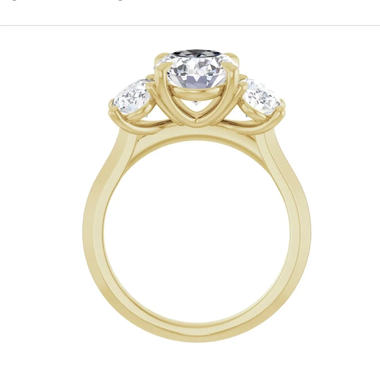 Image 3-24-26 at 12.56 PM.jpg