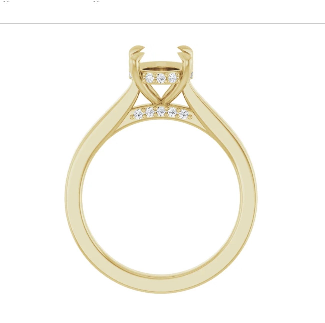 Image 3-24-26 at 1.34 PM (1).jpg