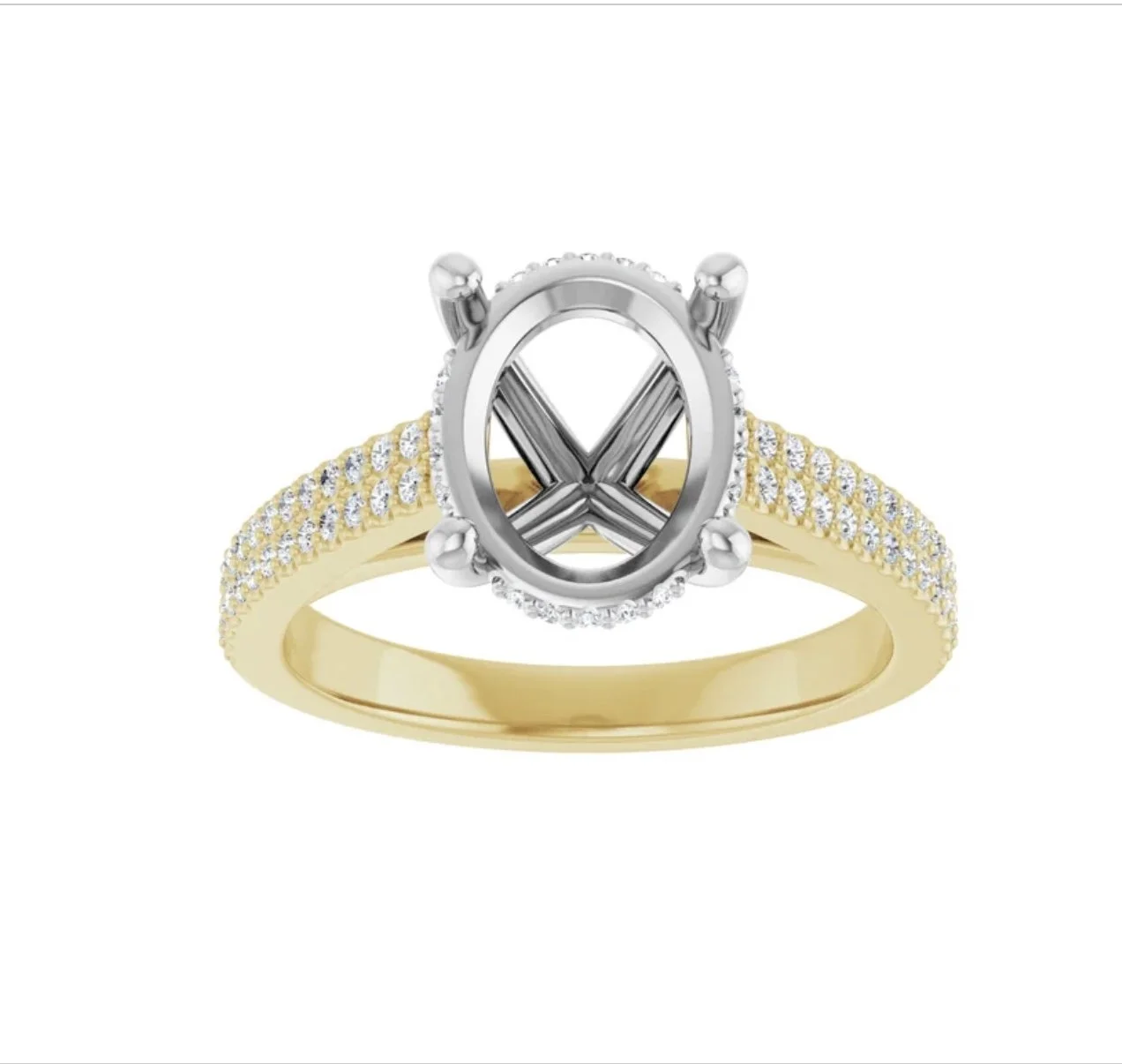 Image 3-24-26 at 12.49 PM (1).jpg