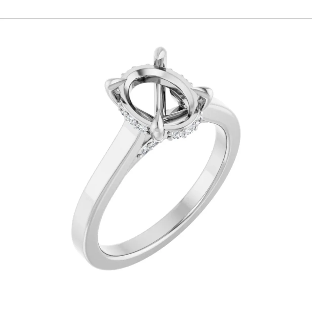 Image 3-24-26 at 1.32 PM.jpg