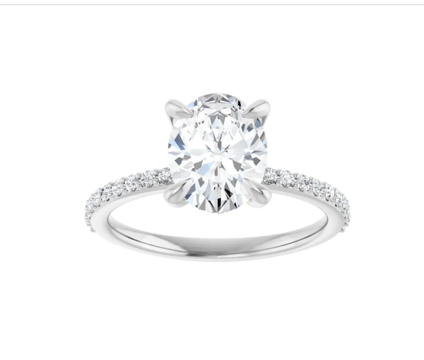 Image 3-19-26 at 6.37 PM (1).jpg