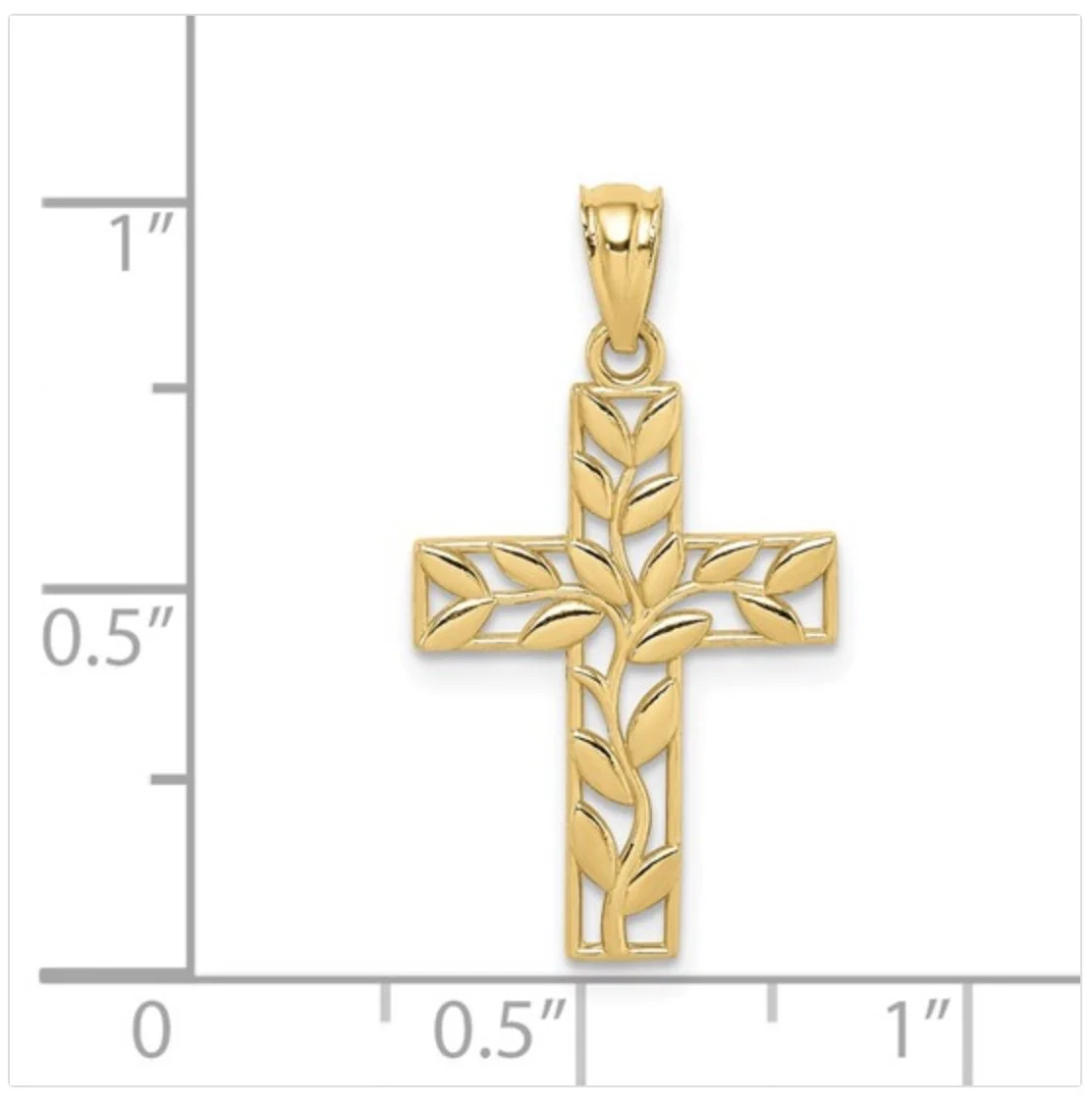 Image 3-11-26 at 12.45 PM.jpg