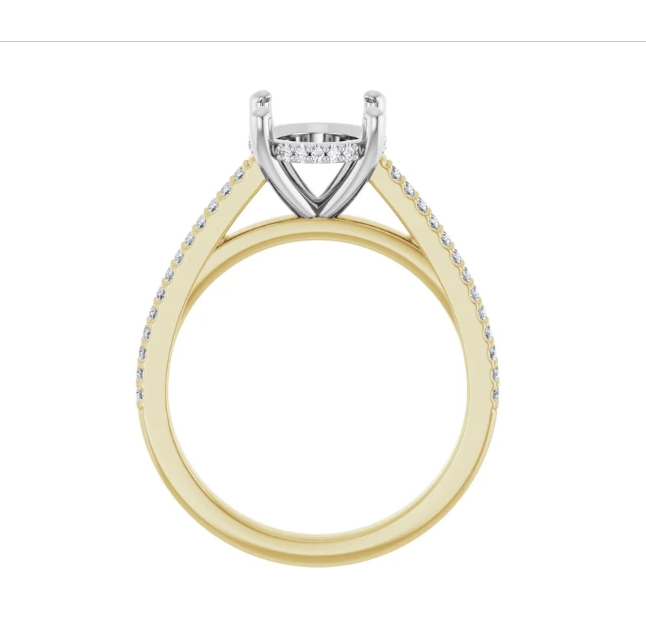 Image 3-24-26 at 12.49 PM.jpg