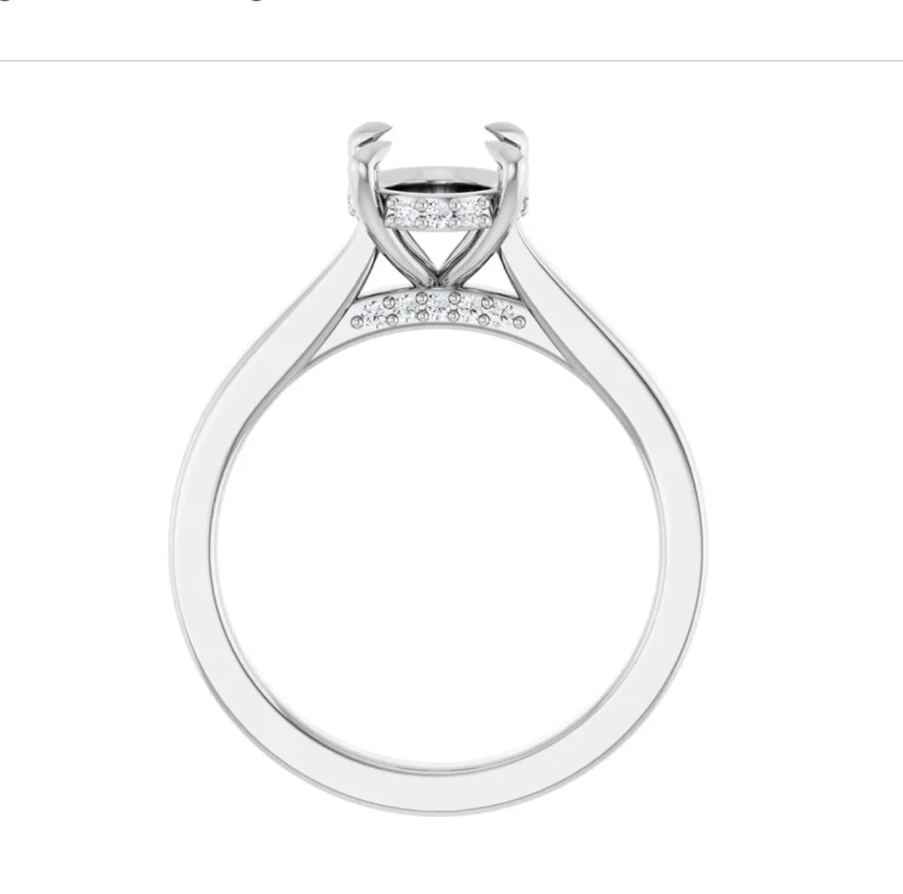 Image 3-24-26 at 1.33 PM.jpg