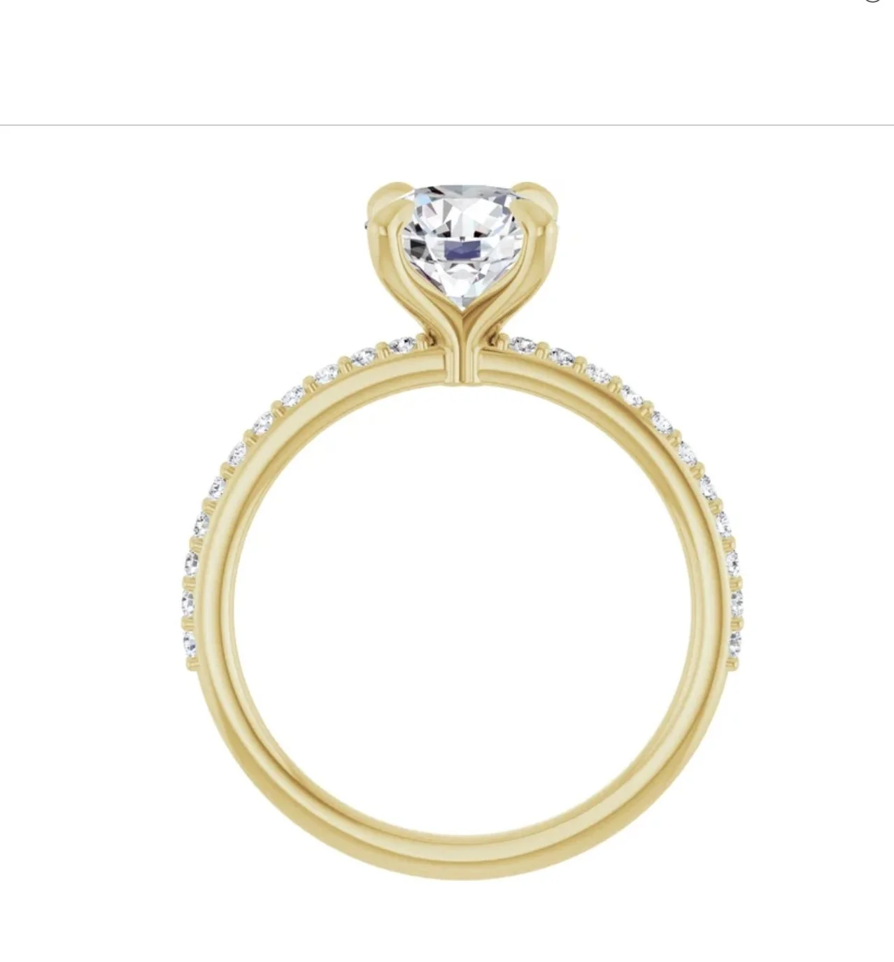 Image 3-24-26 at 1.57 PM.jpg