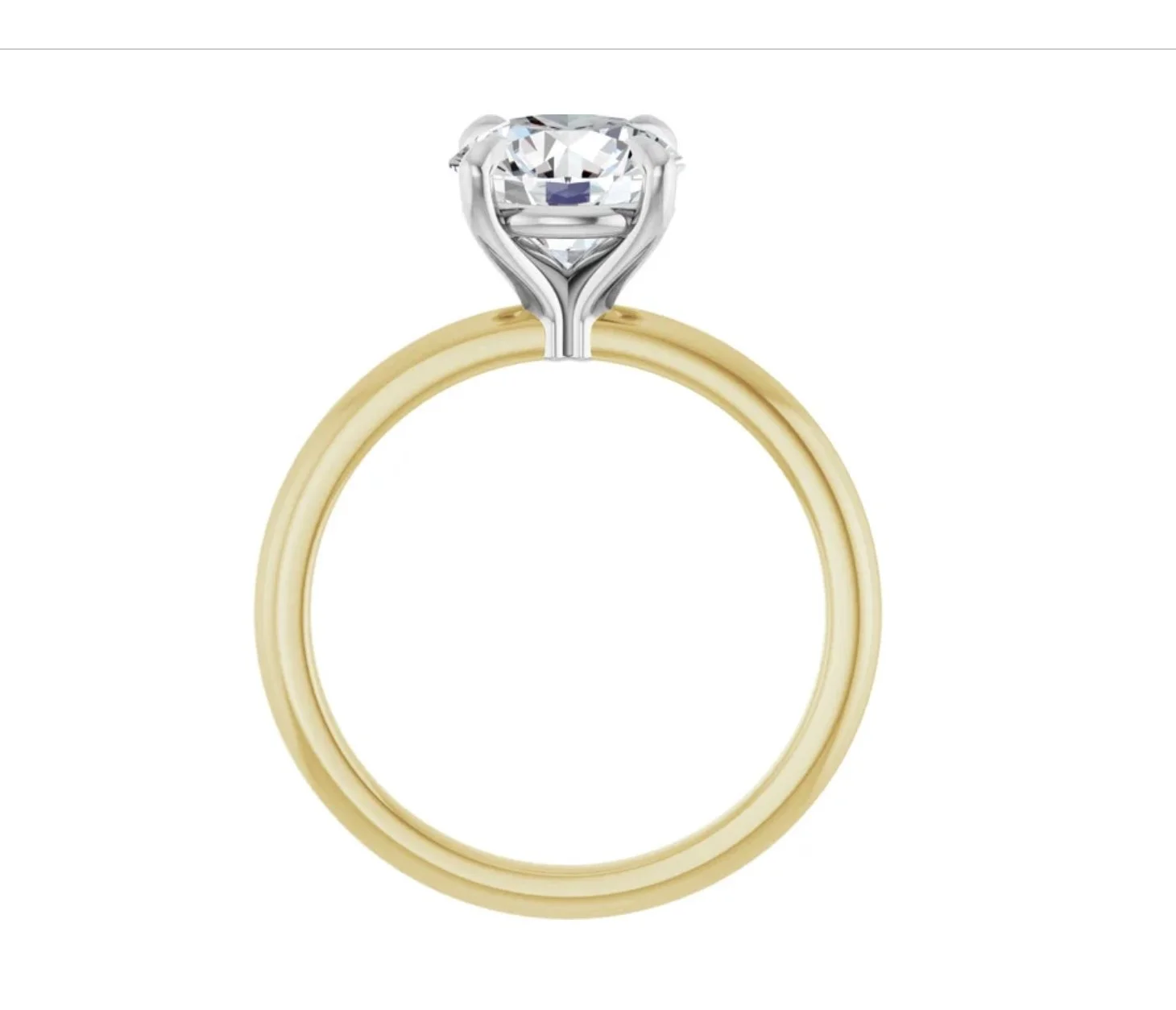 Image 3-19-26 at 6.09 PM.jpg