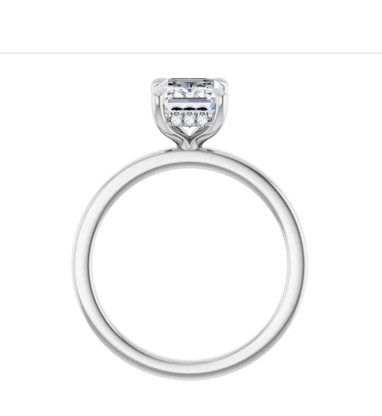 Image 3-24-26 at 1.05 PM.jpg