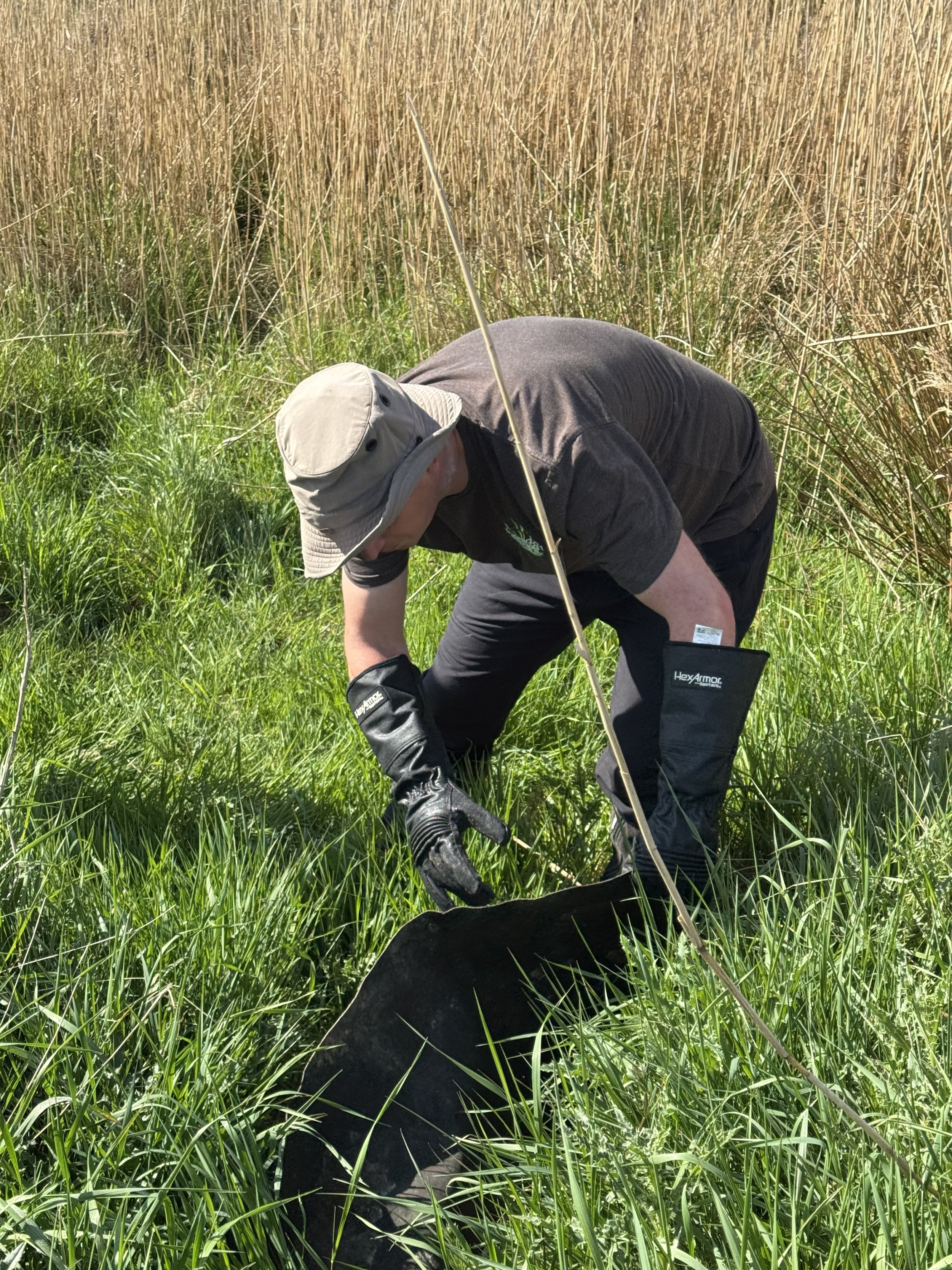 A person wearing a wide-brimmed hat, black gloves, and outdoor clothing, bending down in tall green grass and soil, possibly conducting some kind of research or fieldwork.