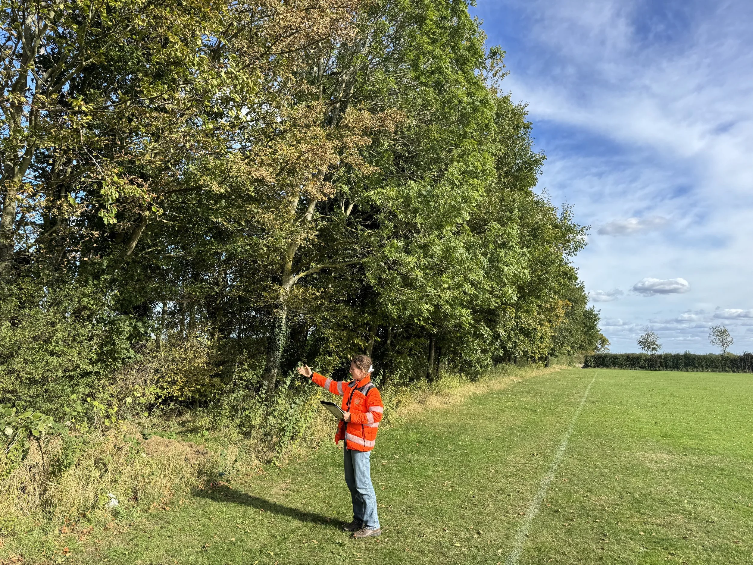 A person wearing an orange jacket and jeans, holding a clipboard, points towards trees on a grassy field with a line of trees in the distance under a partly cloudy blue sky.