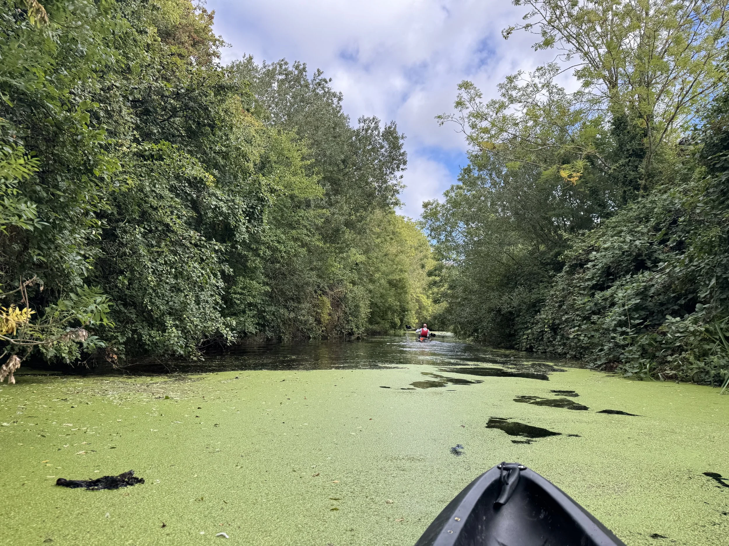 A person kayaking through a narrow waterway lined with dense green trees, with patches of duckweed on the water surface.