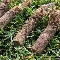 Aeratikon plugs.jpeg