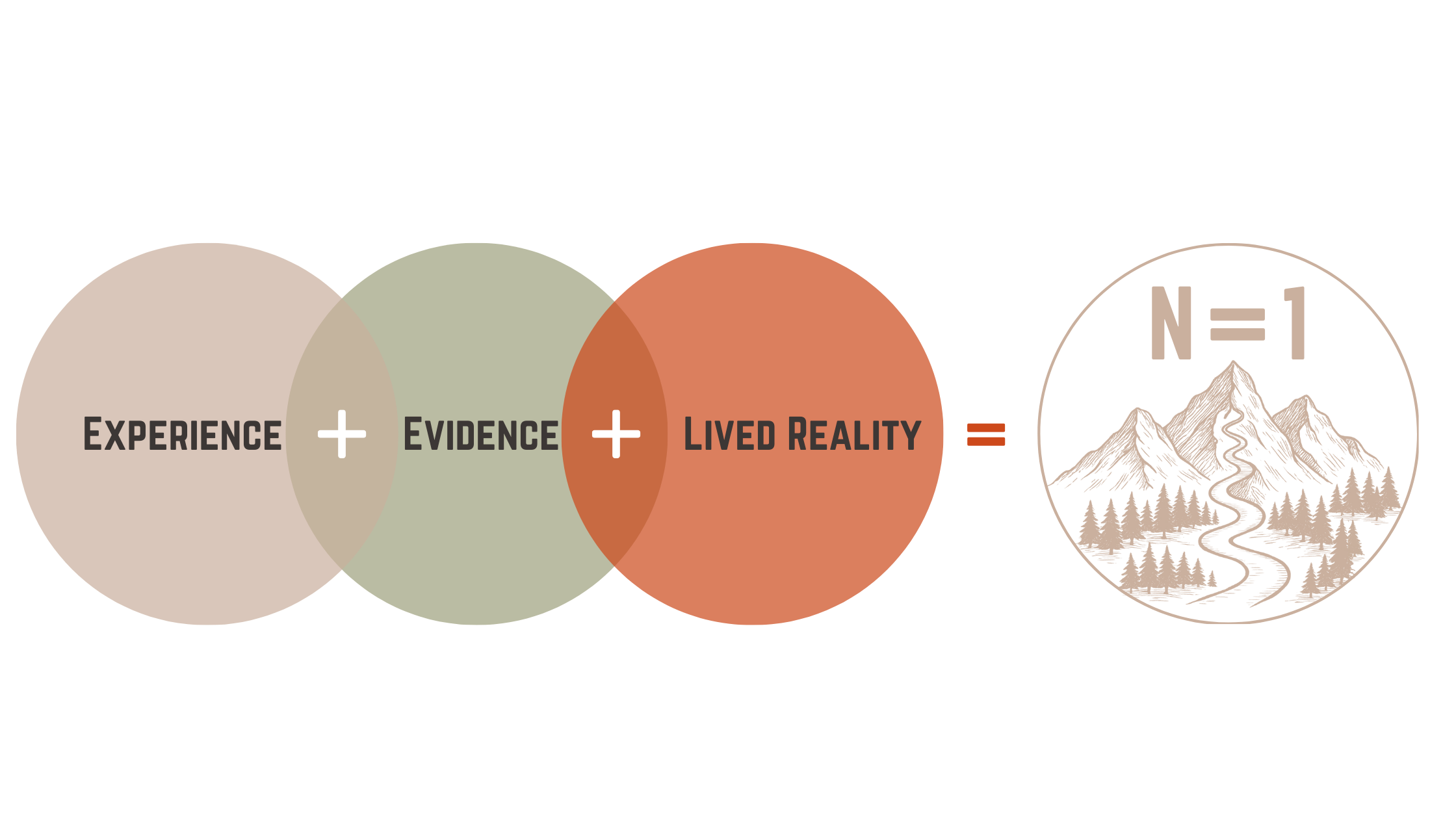 Venn diagram showing 'Experience', 'Evidence', and 'Lived Reality' as overlapping circles, with the intersection leading to 'N=1' and a mountain landscape illustration.