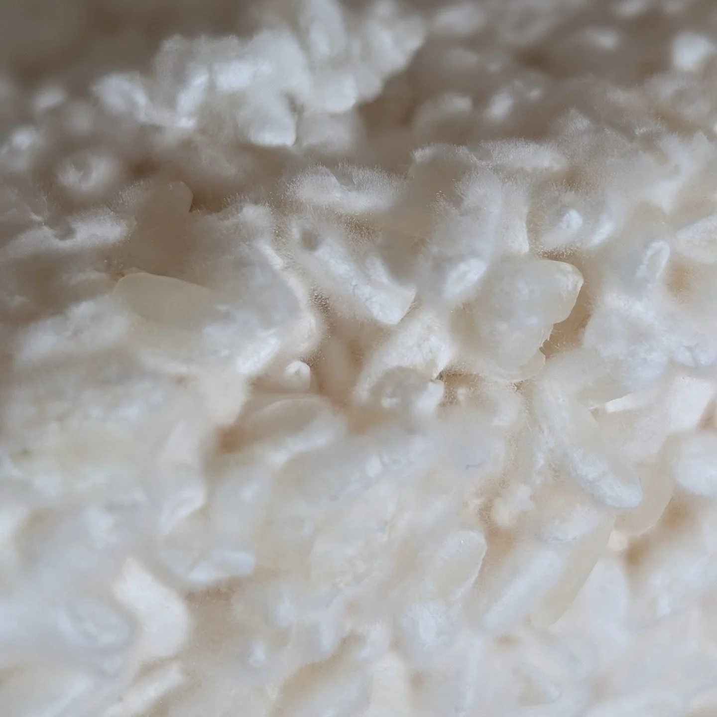 There are two different ways to write Koji in Japanese--麹 and 糀. Each is pronounced the same.

This version--麹--originated from China and was adopted in Japanese. It refers to Koji made from gains like rice, barley and soybeans.

The other--糀--origin