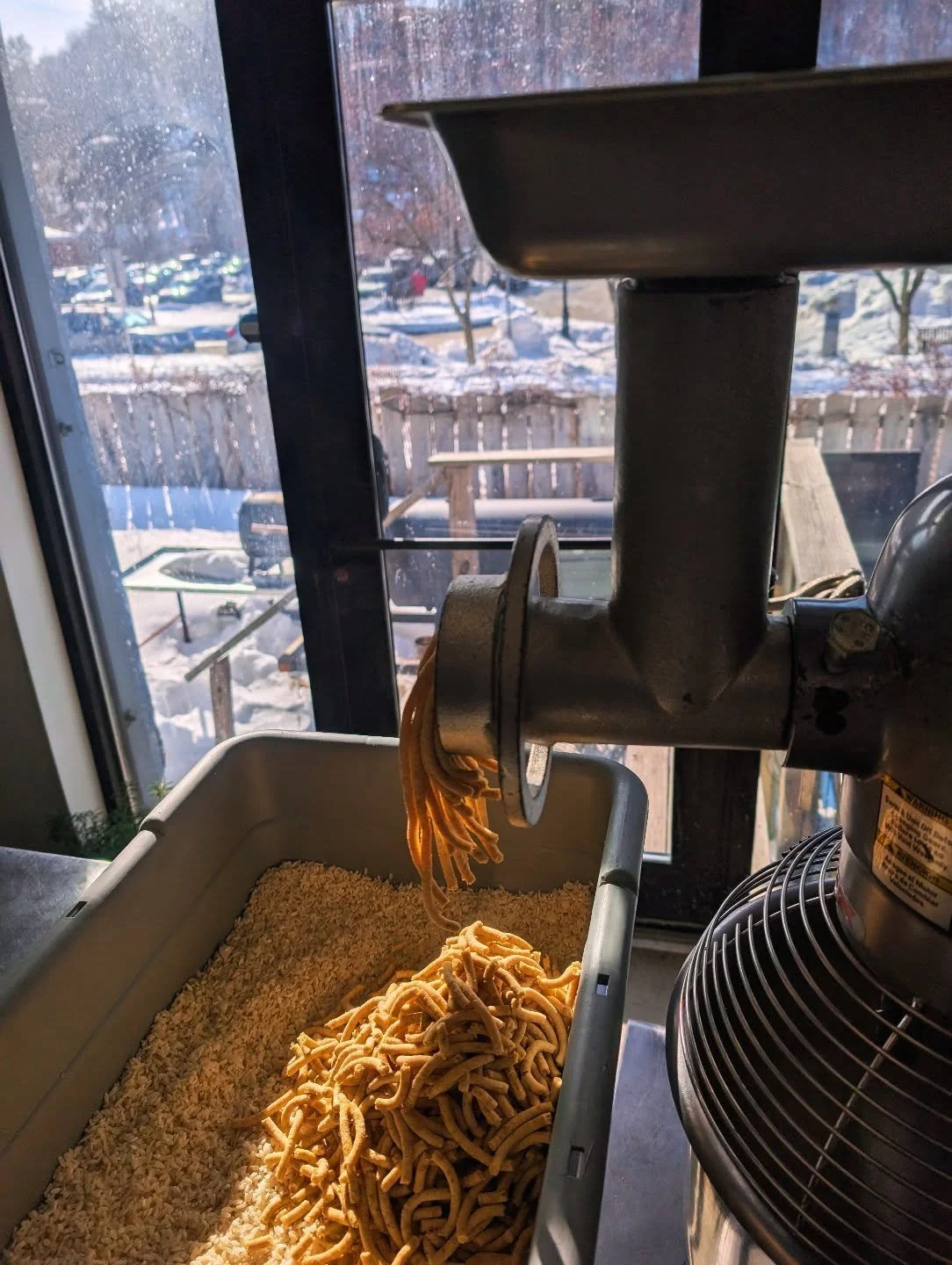 Koji &amp; Miso Production week. It was great to see some sunshine this week 🌞 It's supposed to be cold again this weekend. We hope you have a warm and cozy weekend 🤗