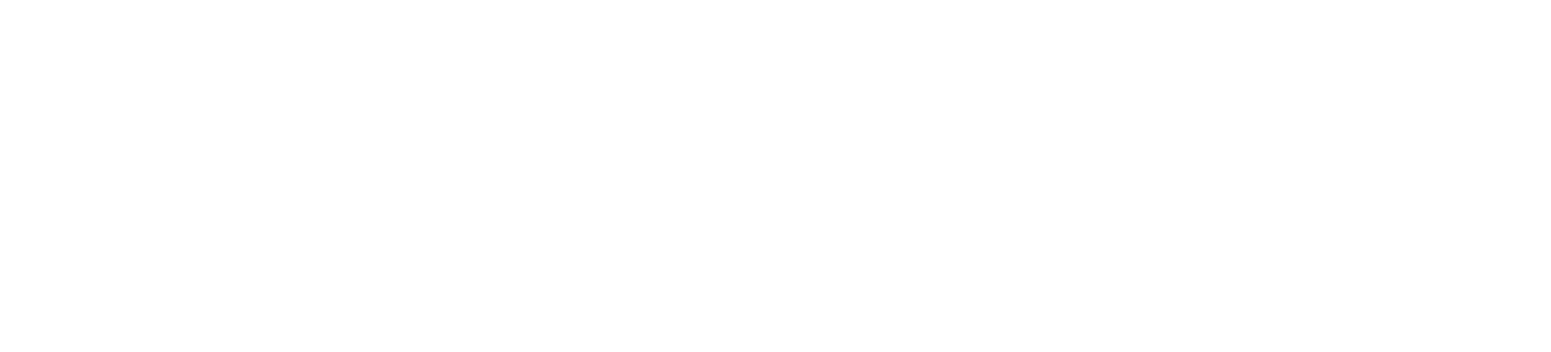 Viva Wallet logo