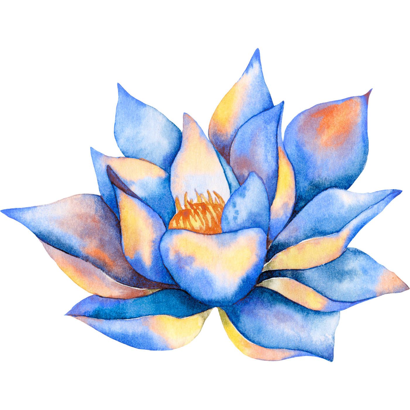 Watercolor painting of a blue and orange lotus flower with detailed petals and a yellow-orange center.