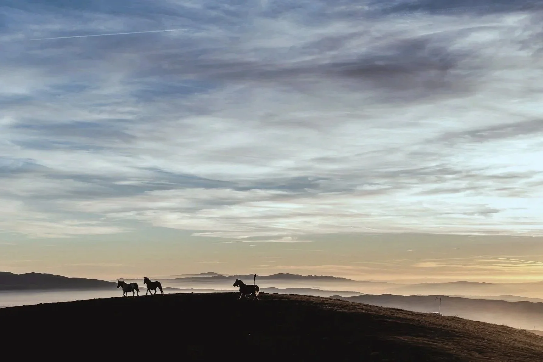 Who is Holding the Reins?