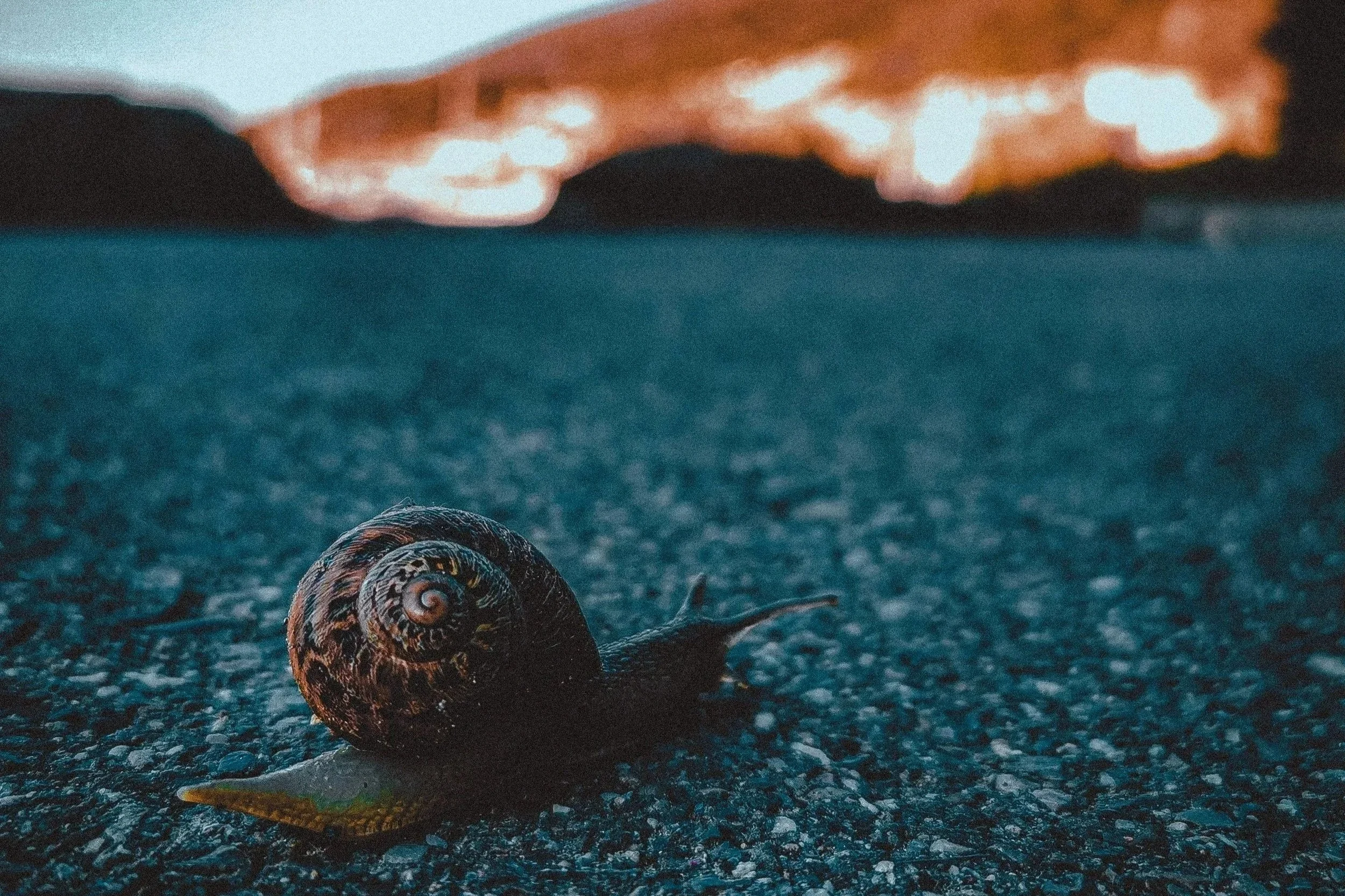 Slowing Down