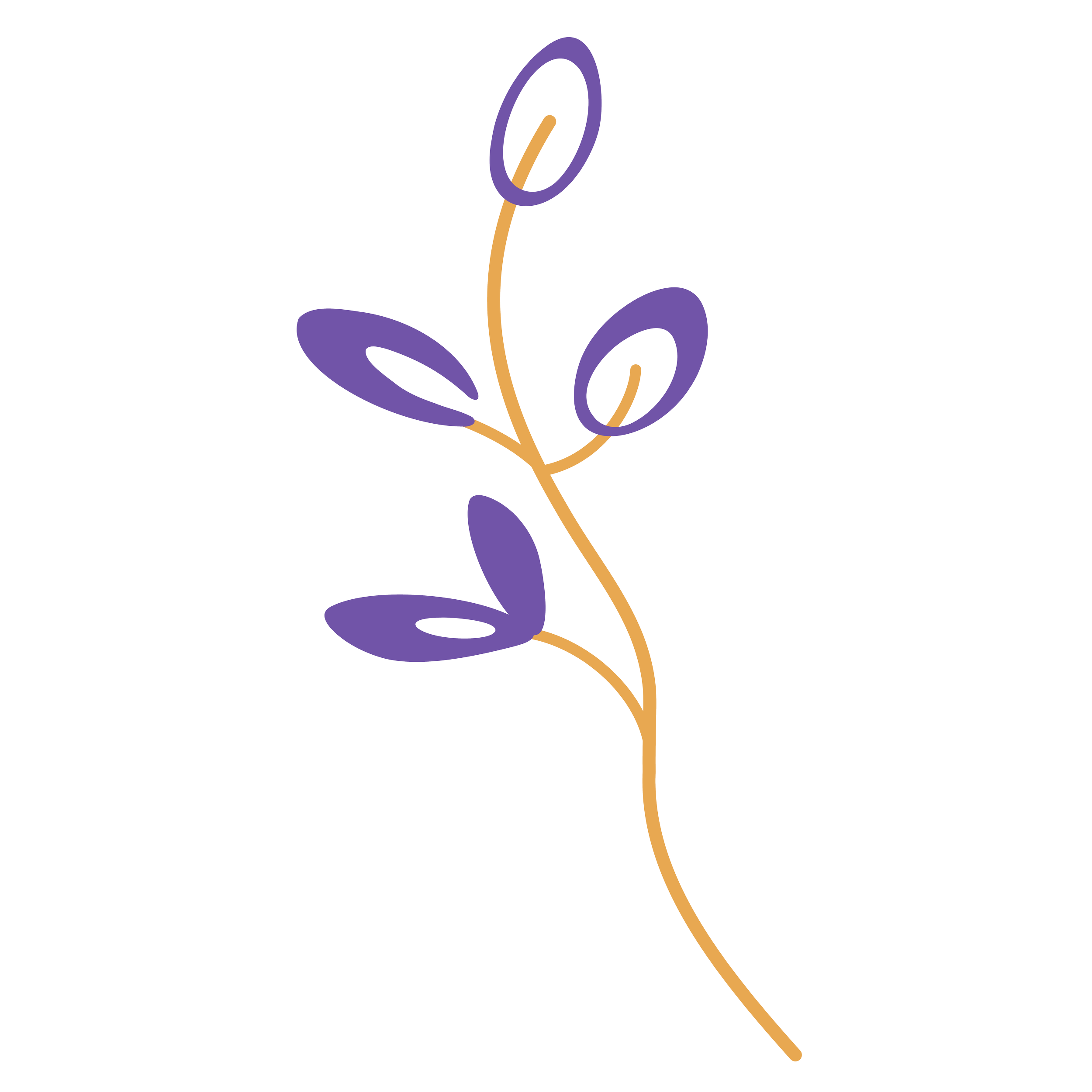 Simplified illustration of a plant with a light brown stem and purple leaves against a black background.