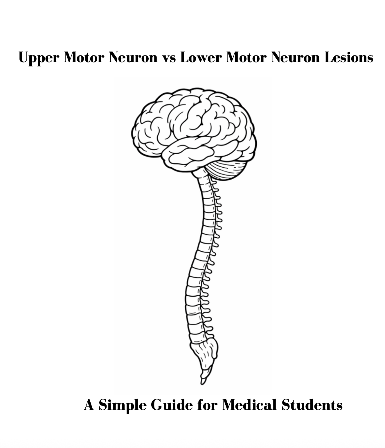 Upper Motor Neuron vs Lower Motor Neuron Lesions