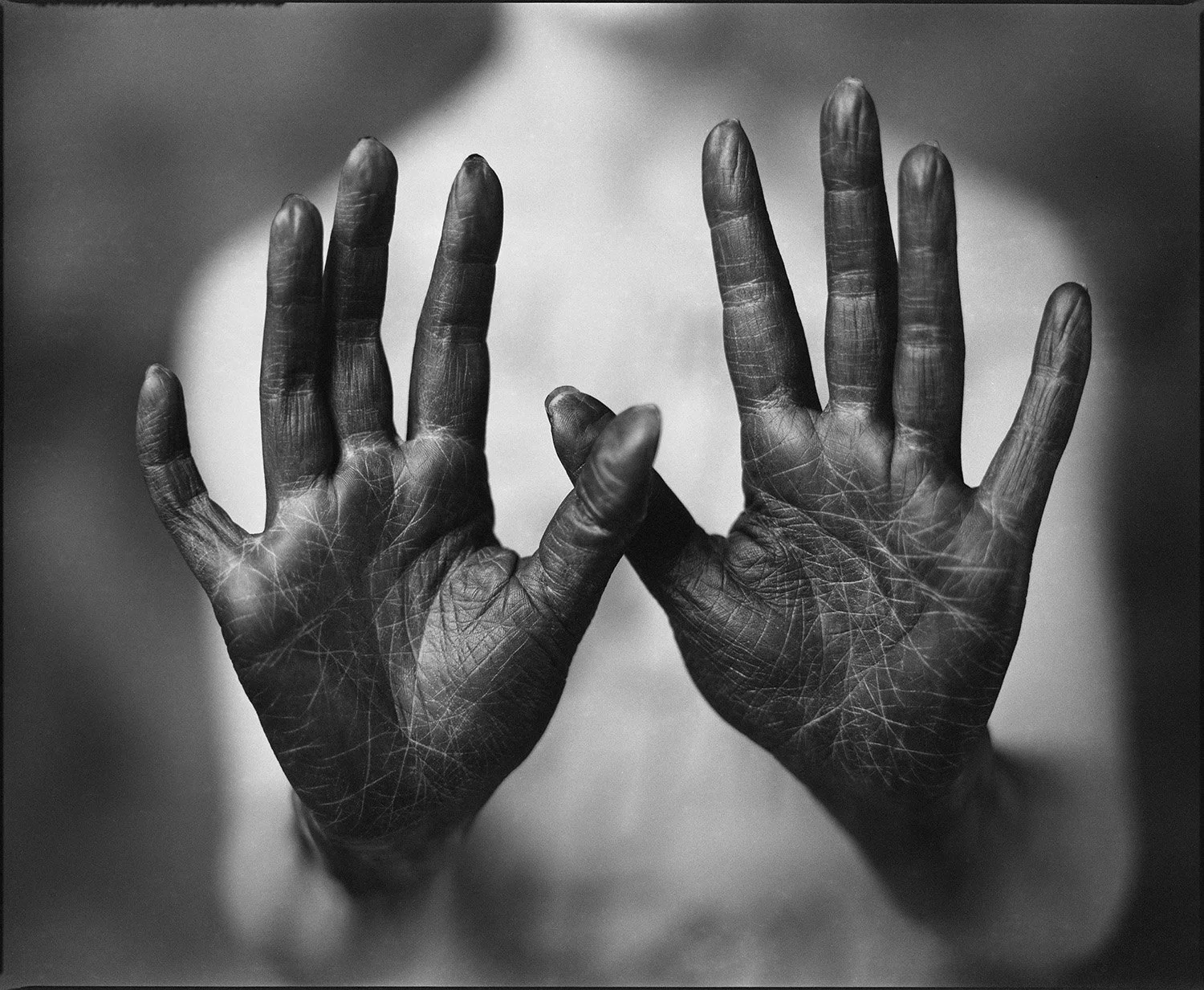 Close-up black and white photo of two cupped hands with visible wrinkles and lines, held close together, with a blurred background.