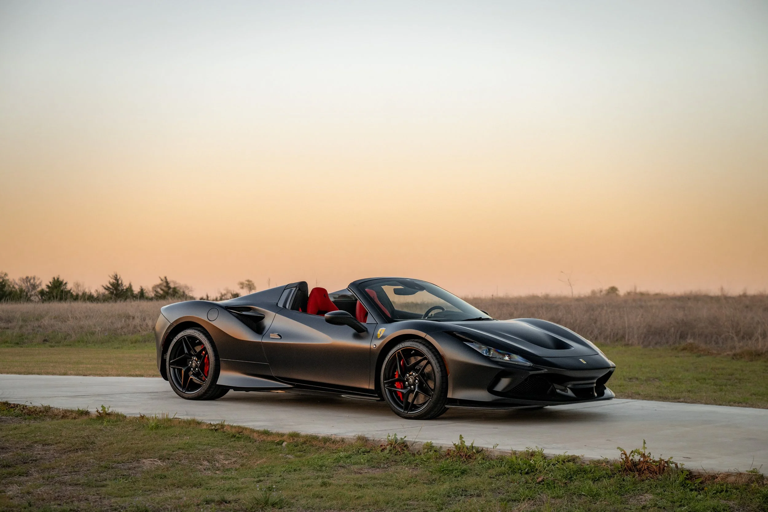 F8Spider-9178.jpg