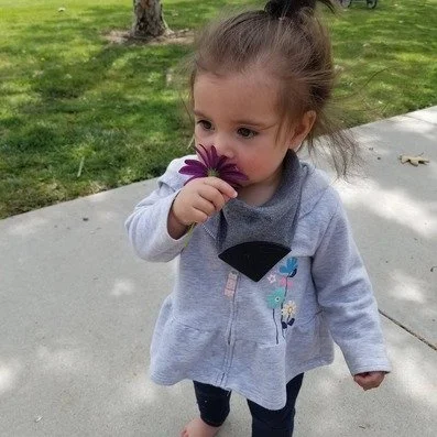 Kendall Bug holding a purple flower