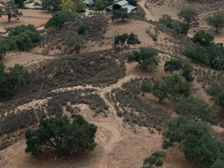 what a venue

There&rsquo;s something really special about Foxen Canyon Ranch. The views stretch for miles, the light hits just right, and it feels peaceful in a way that&rsquo;s hard to describe. It&rsquo;s the kind of place that lets you slow down 