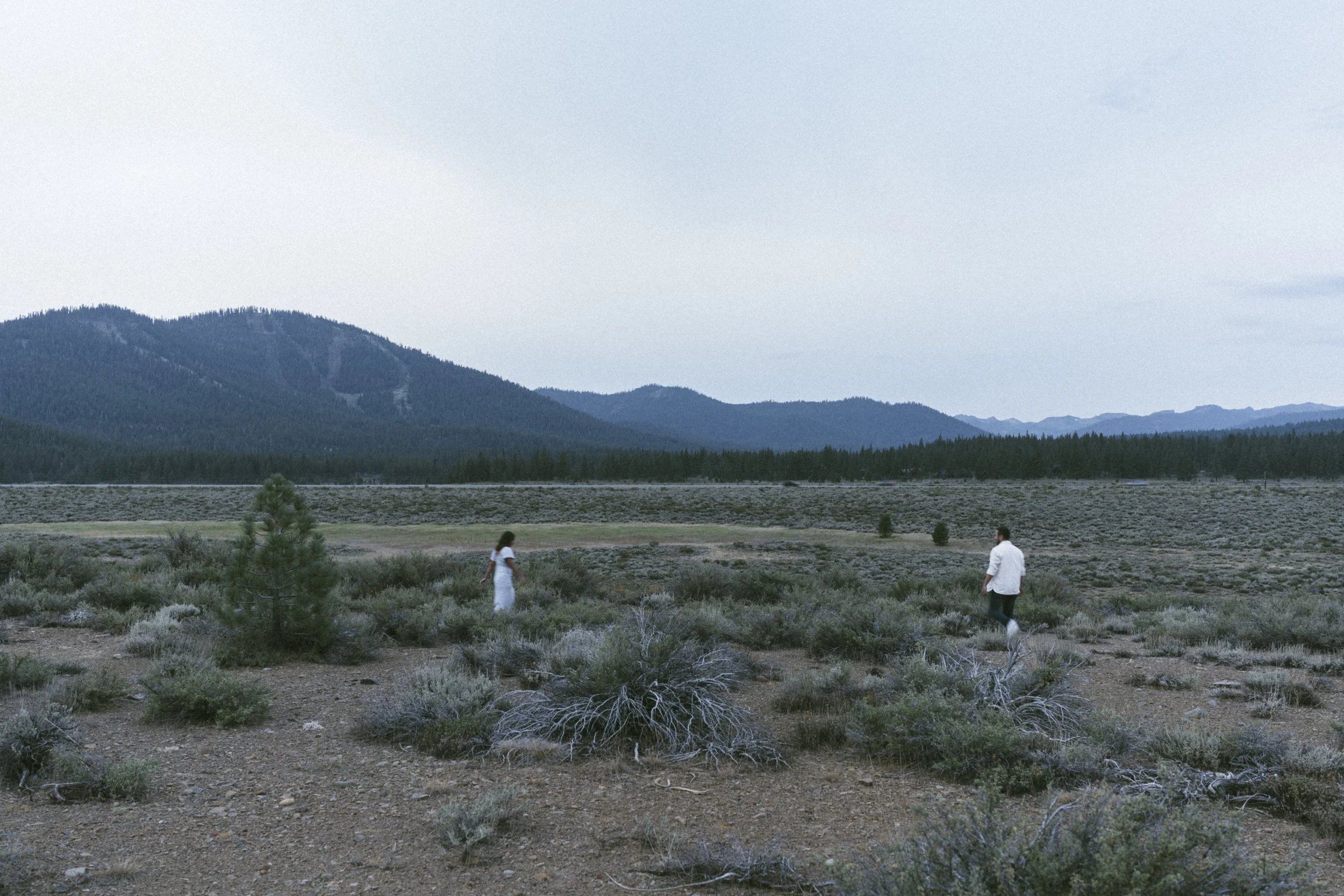 Truckee Wedding Photographer