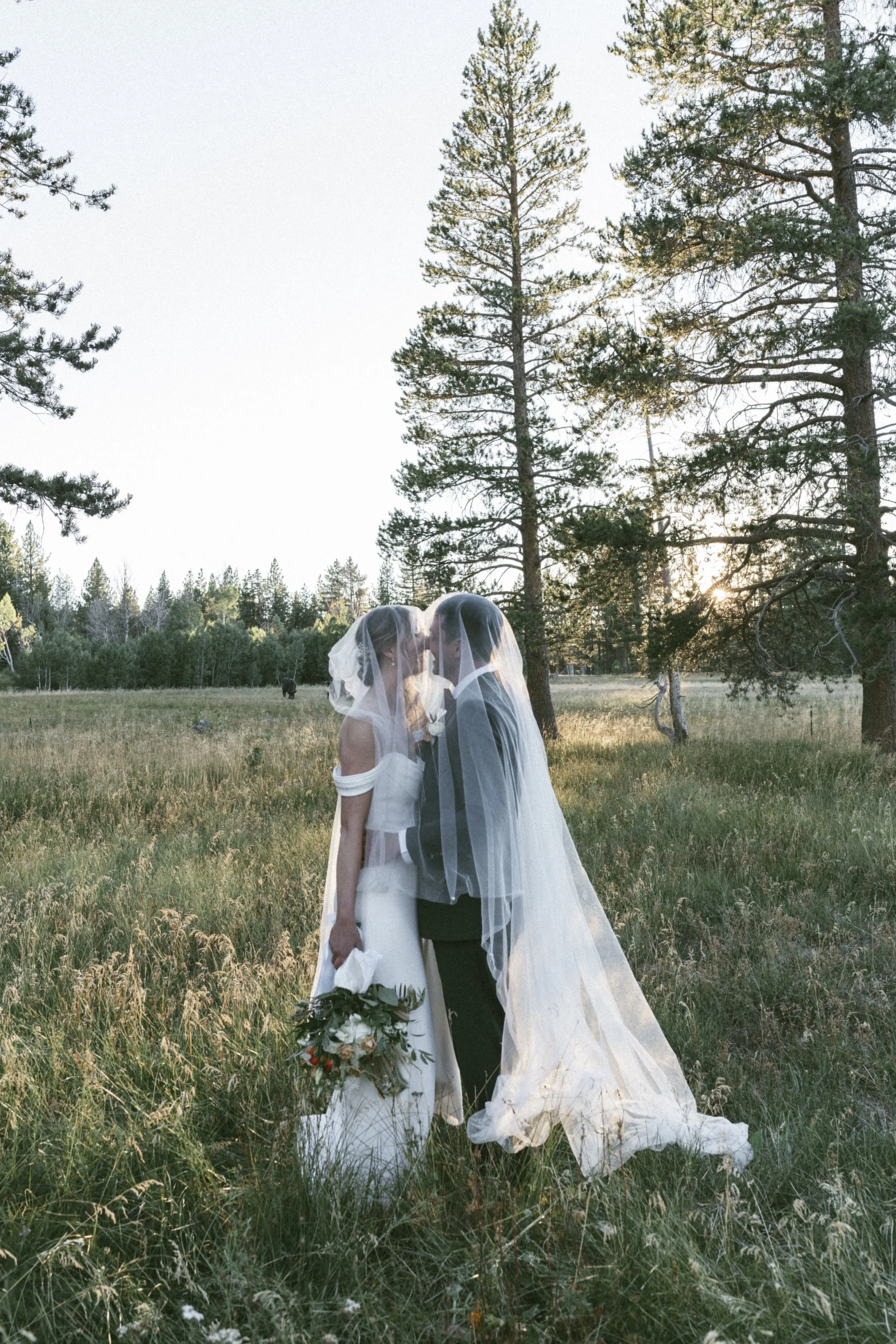 Truckee Wedding Photographer