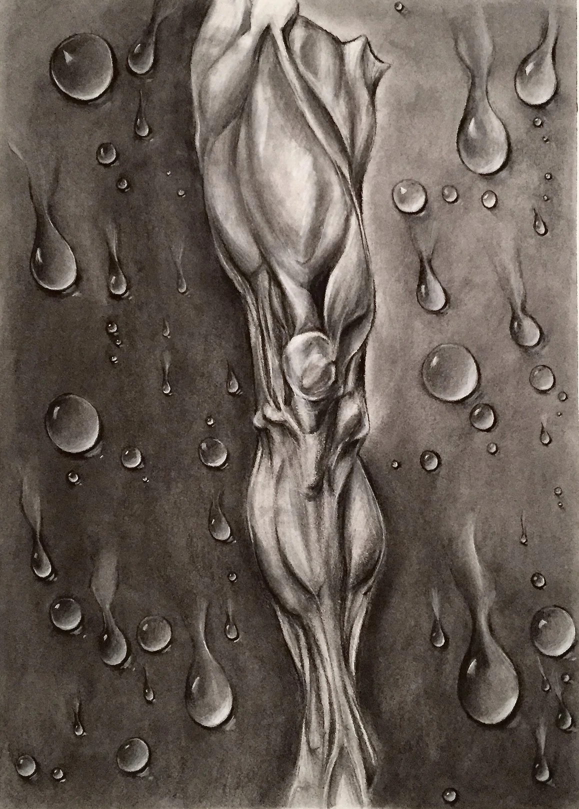 Charcoal on paper, 24 × 18 inches. 

This drawing exaggerates the form of a runner’s leg, stretching and amplifying the musculature beyond natural proportion to convey the intensity and strain of endurance. The elongated contours and heightened shado