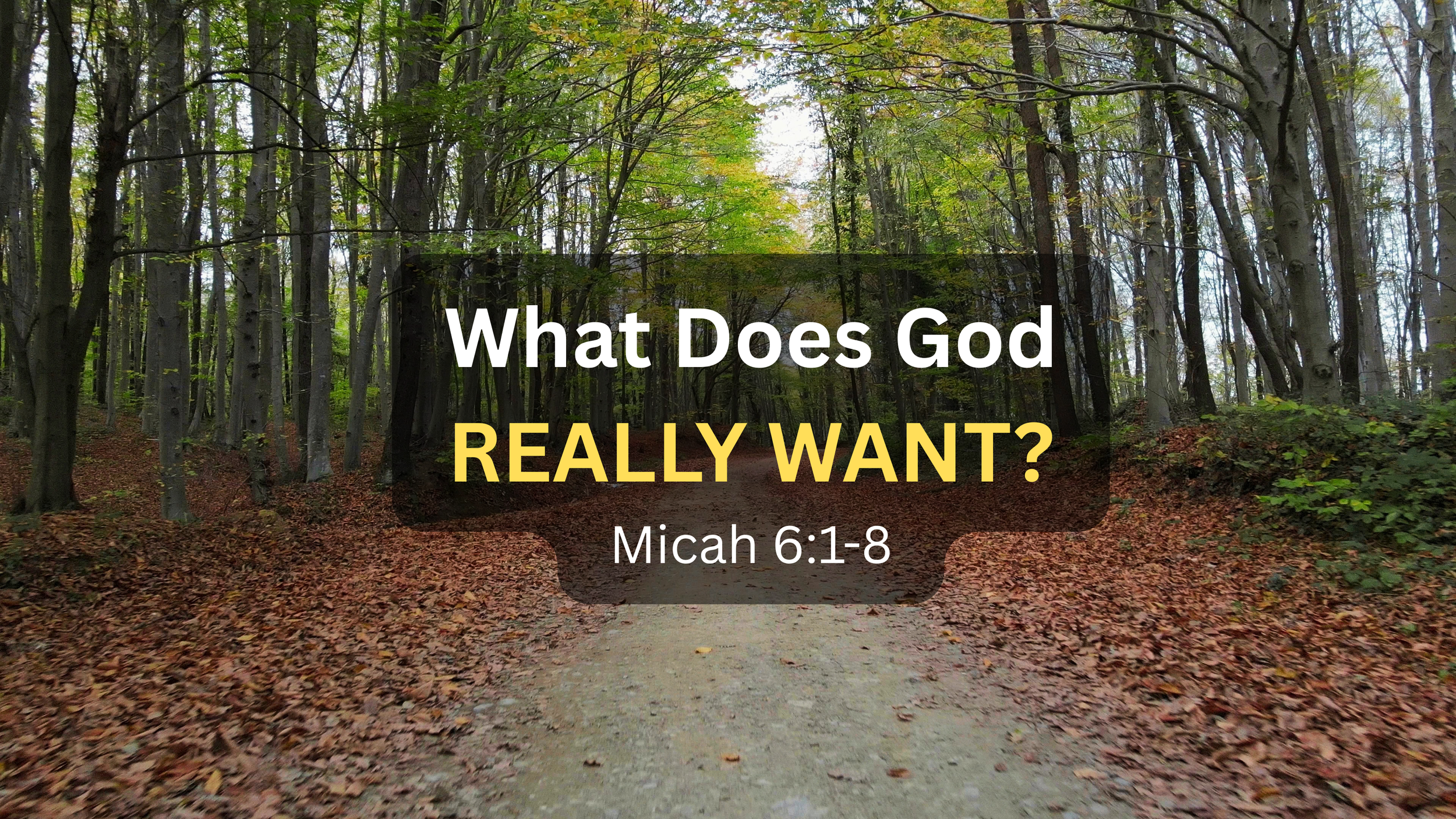 What Does God Really Want?