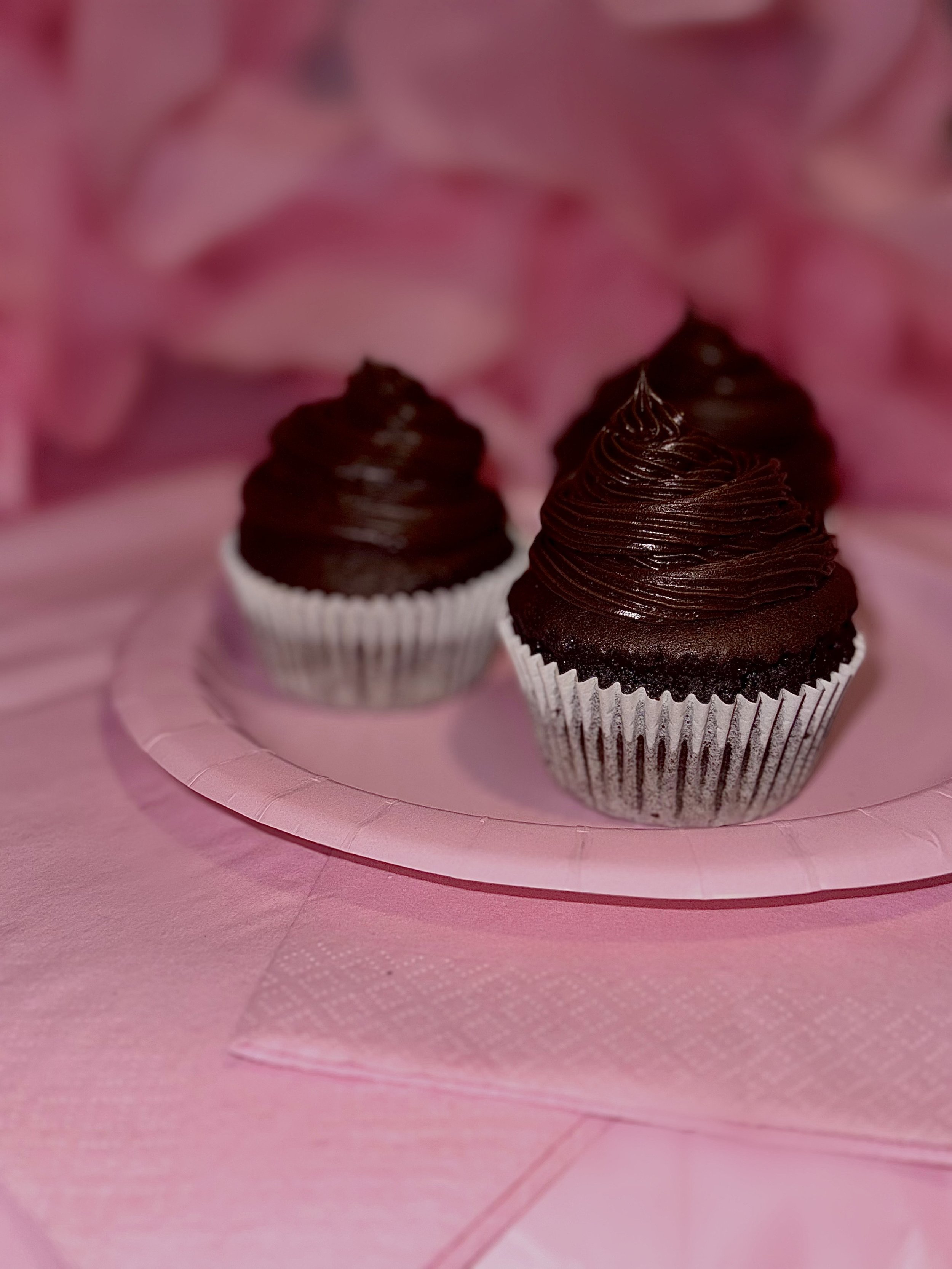 Chocolate Cupcakes