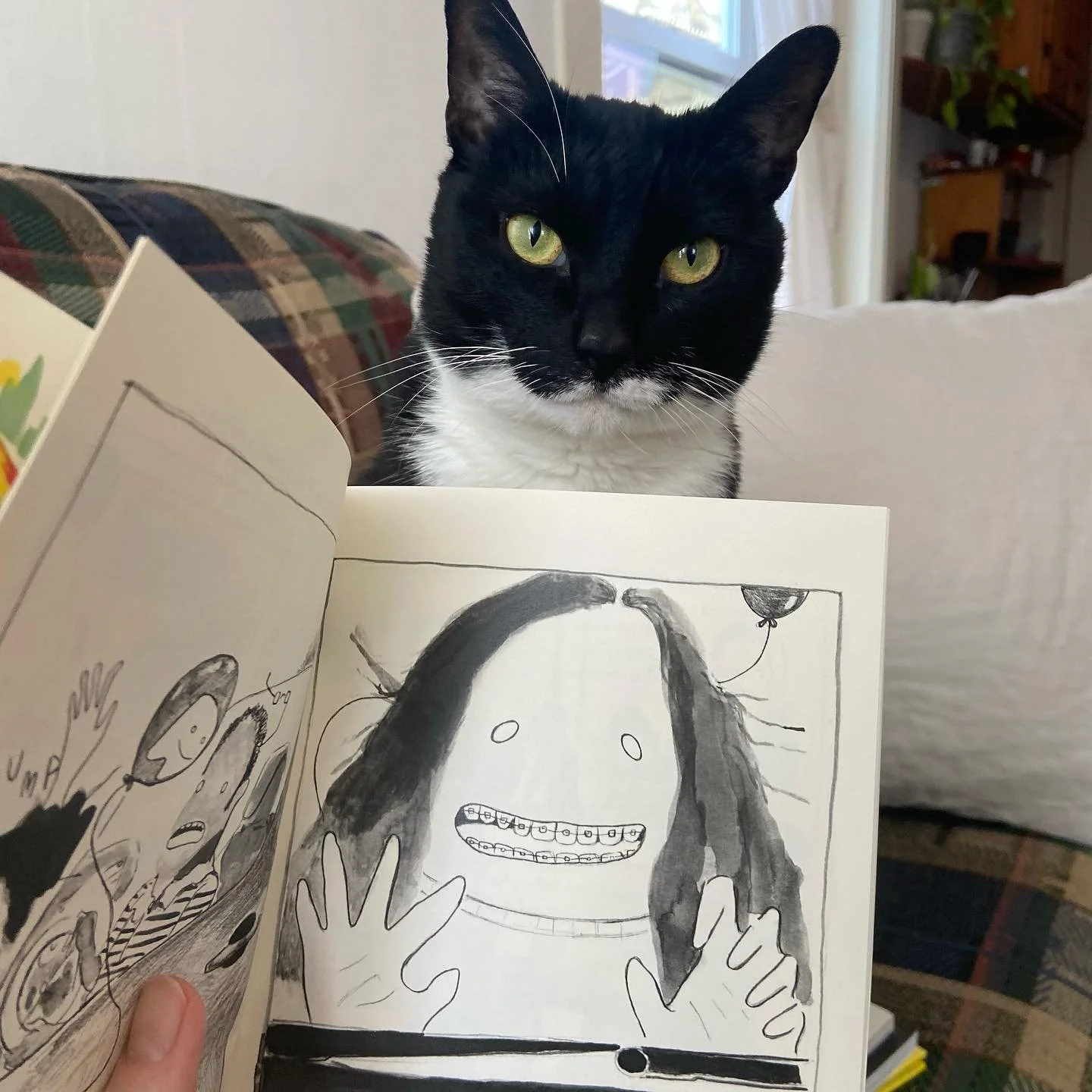 hi! it&rsquo;s me, cathy, here to tell you that i have an online shop!
 🍃right now i offer u:
1) a comic book inspired by Craigslist 
2) a risograph print that would look delightful in a bathroom

and more soon! link is u know where! 
<3, cath