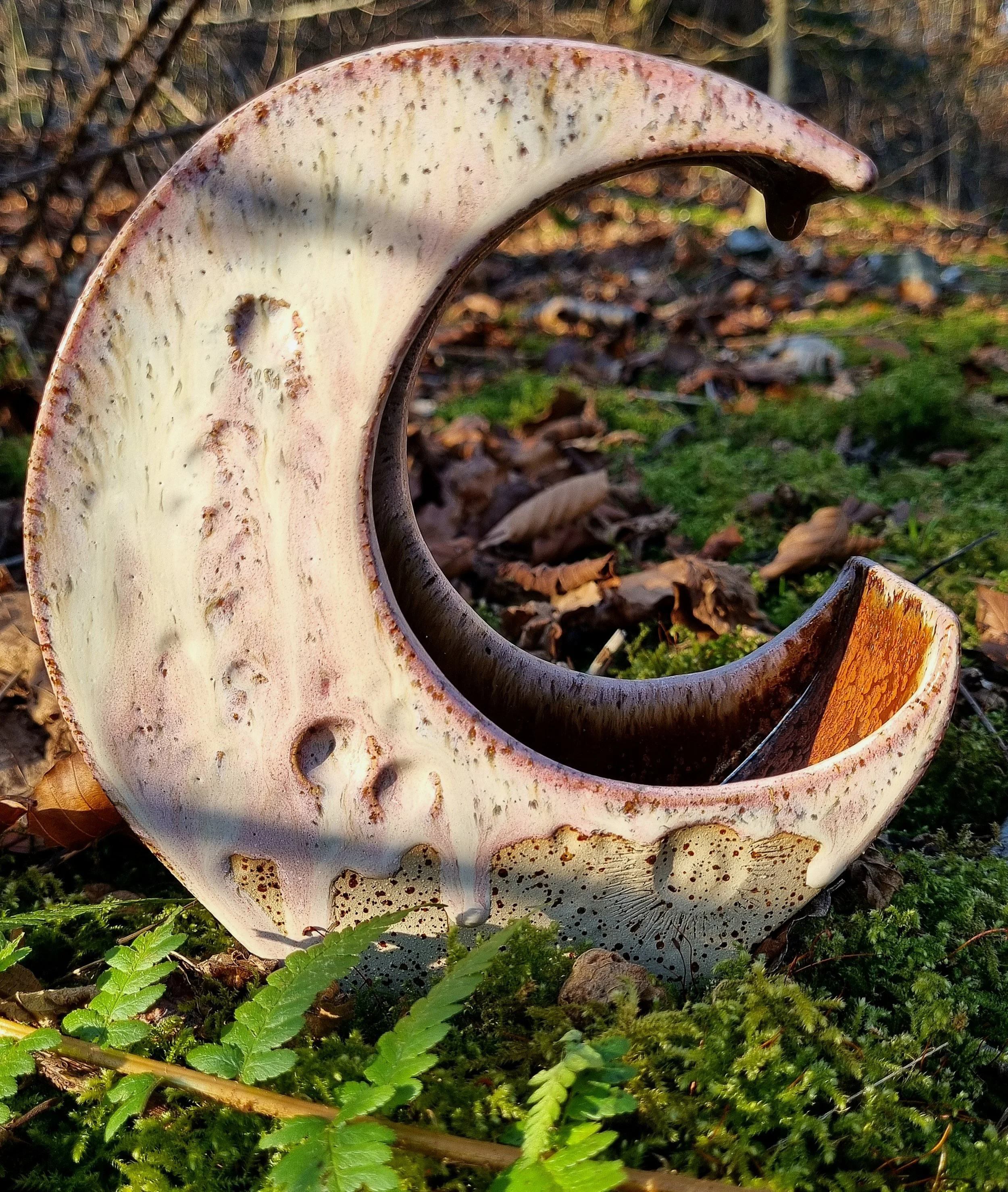 Crescent-shaped Moon.