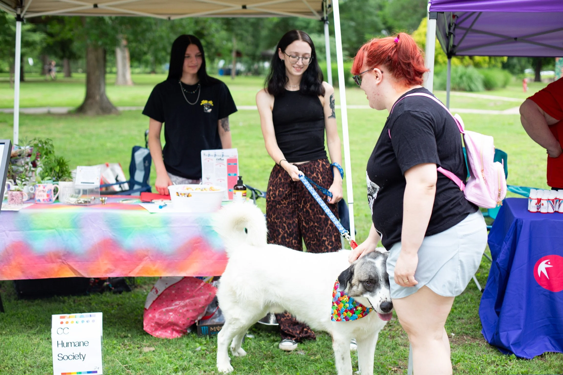 Pride-57.JPG
