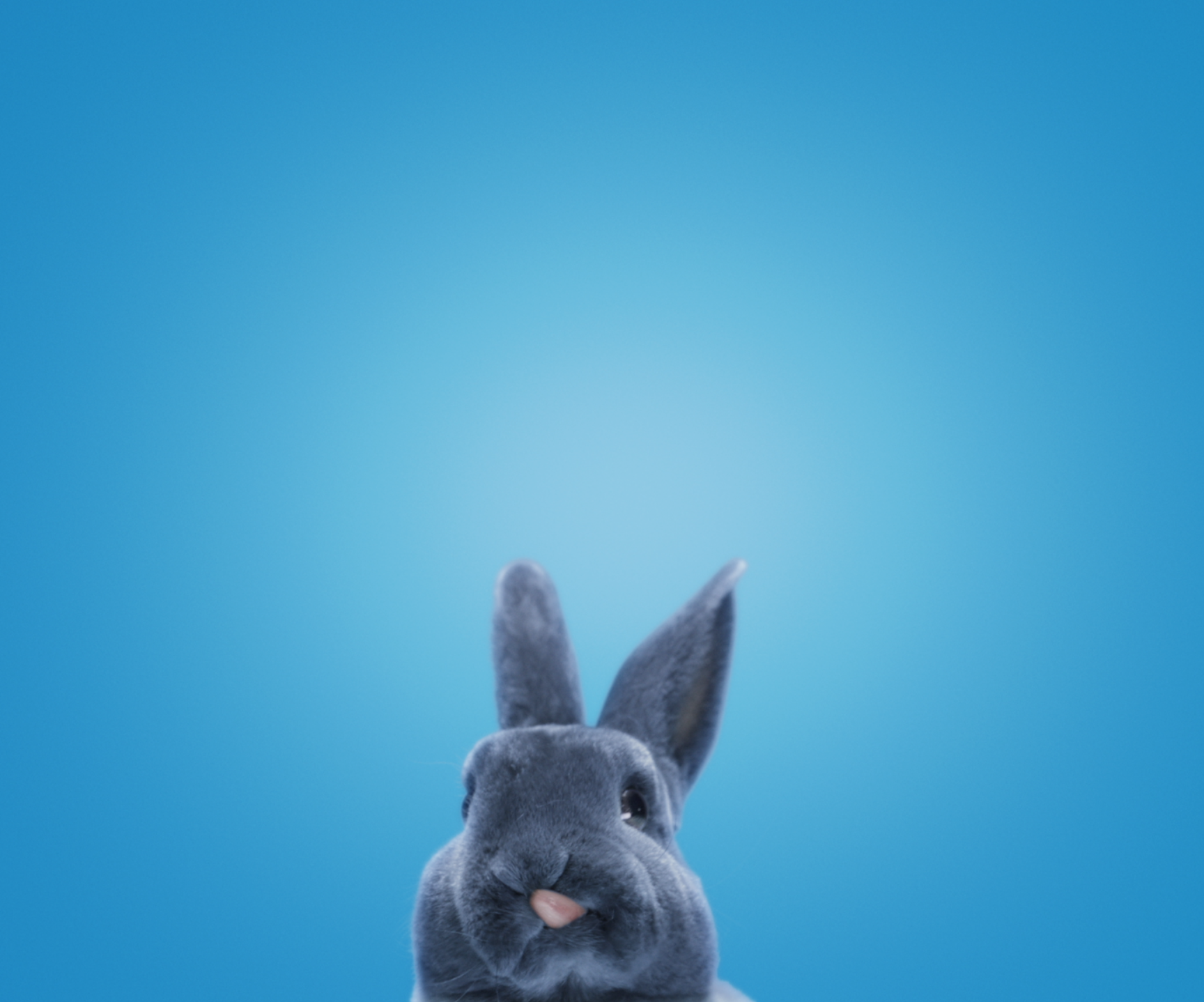 Screen Shot 2018-05-25 at 9.12.53 AM.png