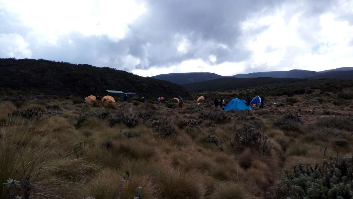 A group of tents set up on a grassy hillside with mountains in the background under a cloudy sky.