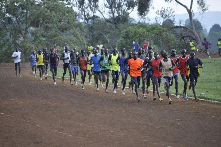Group of runners participating in a race on a dirt track outdoors, surrounded by trees and greenery.