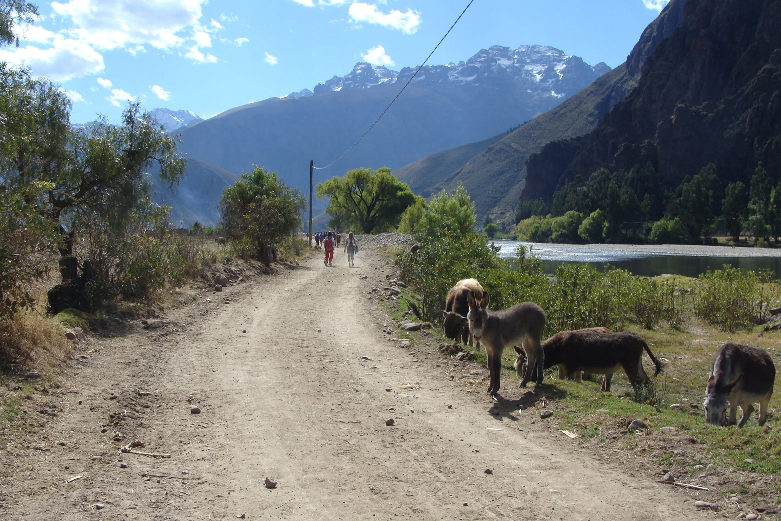 A dirt road beside a river with trees, mountains, and snow-capped peaks in the background. Donkeys are grazing near the road, and people are walking in the distance.