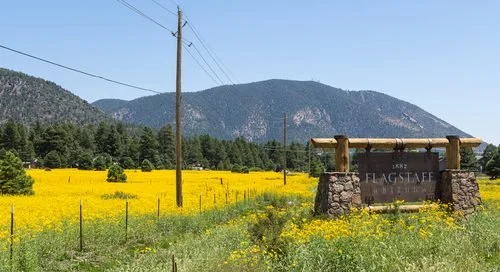 A rural landscape with a field of yellow wildflowers, a wooden entrance sign for Flagstaff, mountains in the background, and utility poles under a clear blue sky.