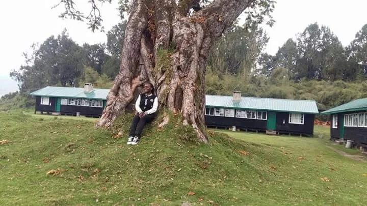 A person sitting on the trunk of a large, old tree with thick, gnarled branches. In the background, there are green cabin-style buildings with metal roofs, set in a grassy area surrounded by trees.