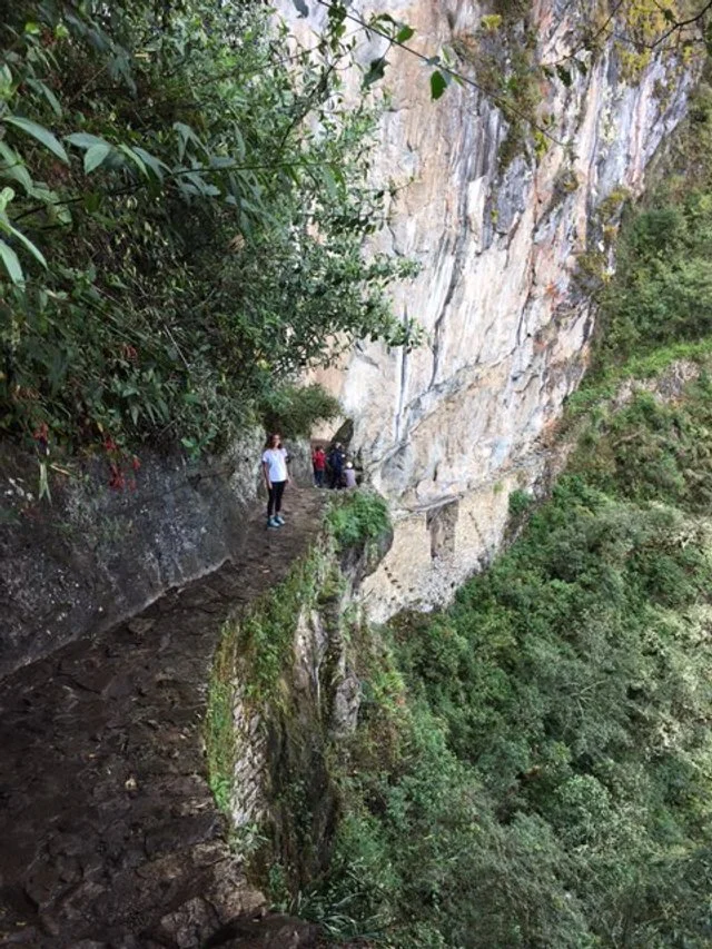 People hiking along a narrow cliffside trail with a rock face above and lush green forest below.