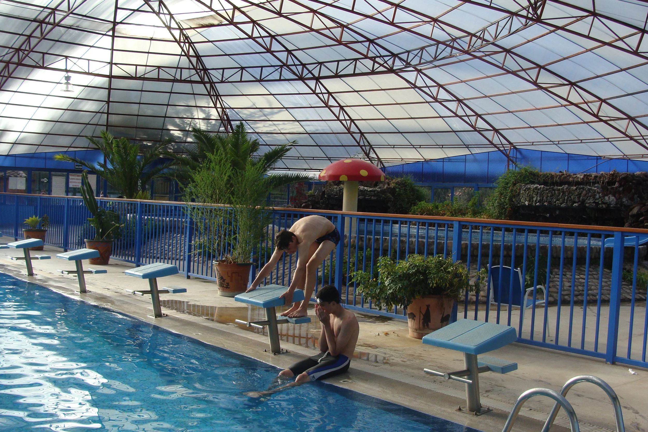 Two boys near an indoor swimming pool, one seated at the edge with legs in the water and the other bending over the pool's edge, inside a structure with a glass ceiling, potted plants, and blue railings.