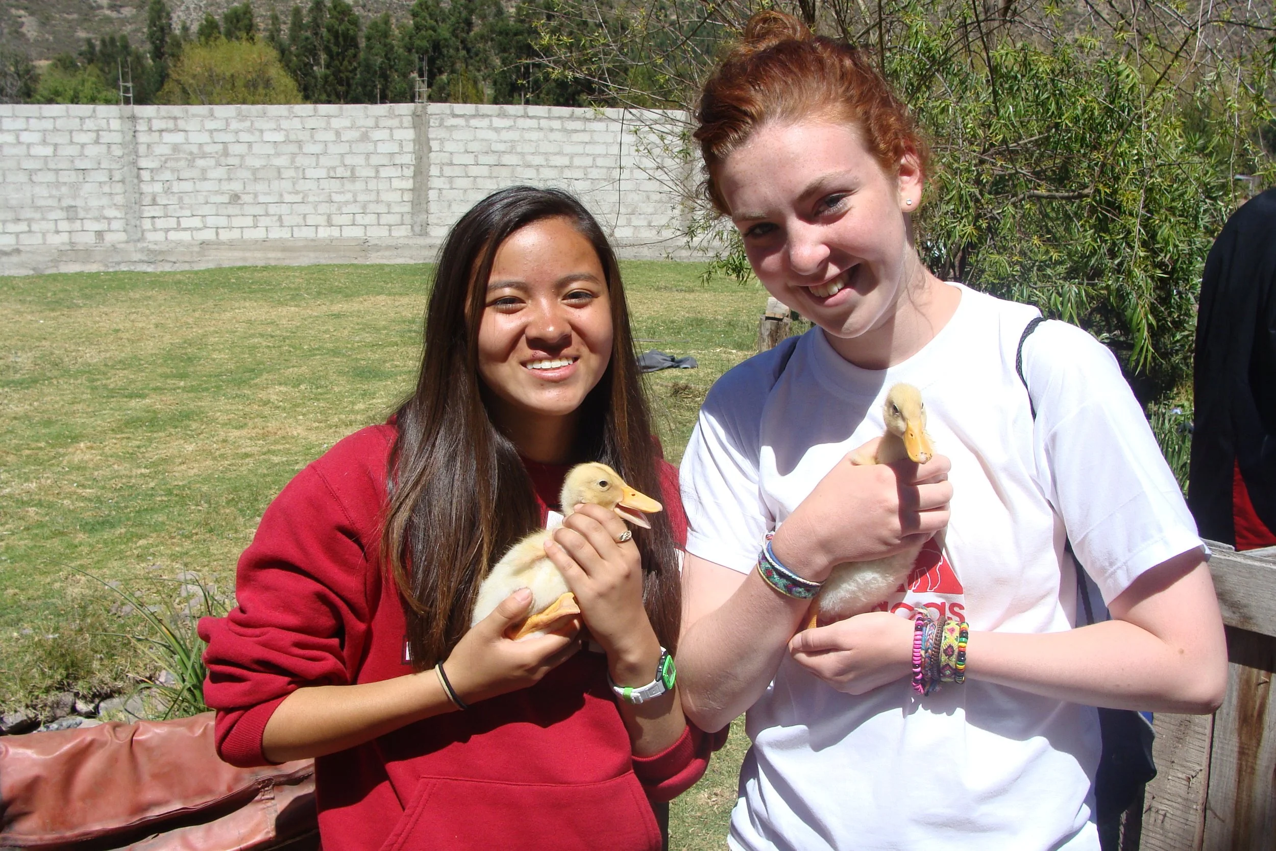 Two girls, one in a red hoodie and the other in a white T-shirt, holding ducklings outdoors on a sunny day.