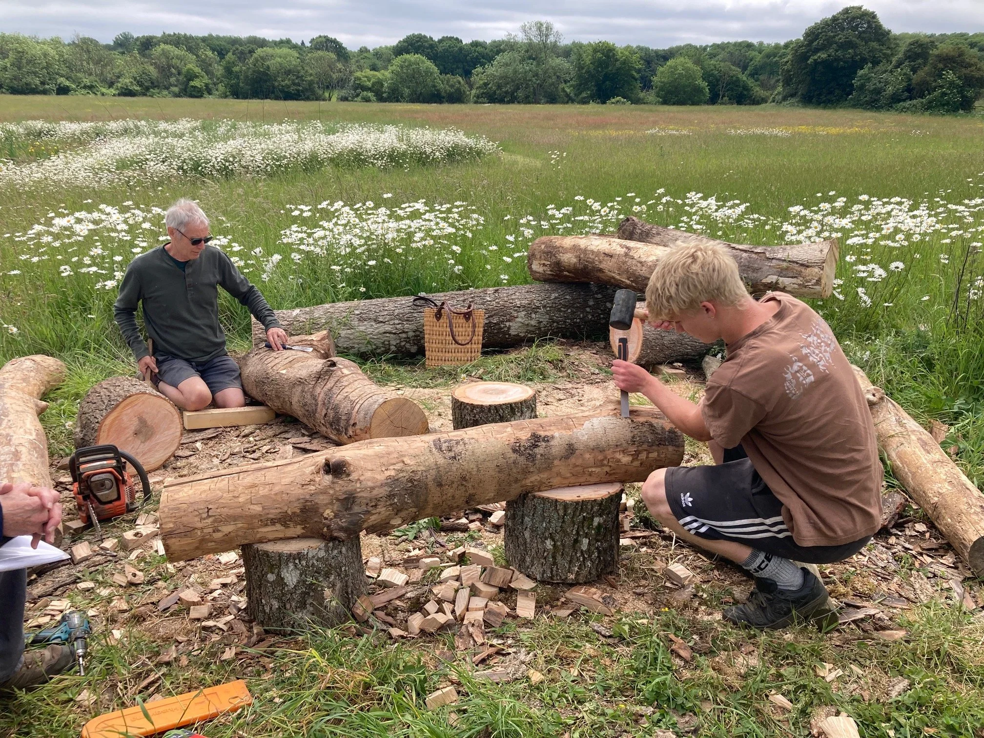 Two young men working on a wood project outdoors in a grassy field with daisies, one sawing a log and the other sitting nearby with trees and shrubs in the background.