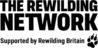 Logo for The Rewiring Network supported by Rewiring Brain