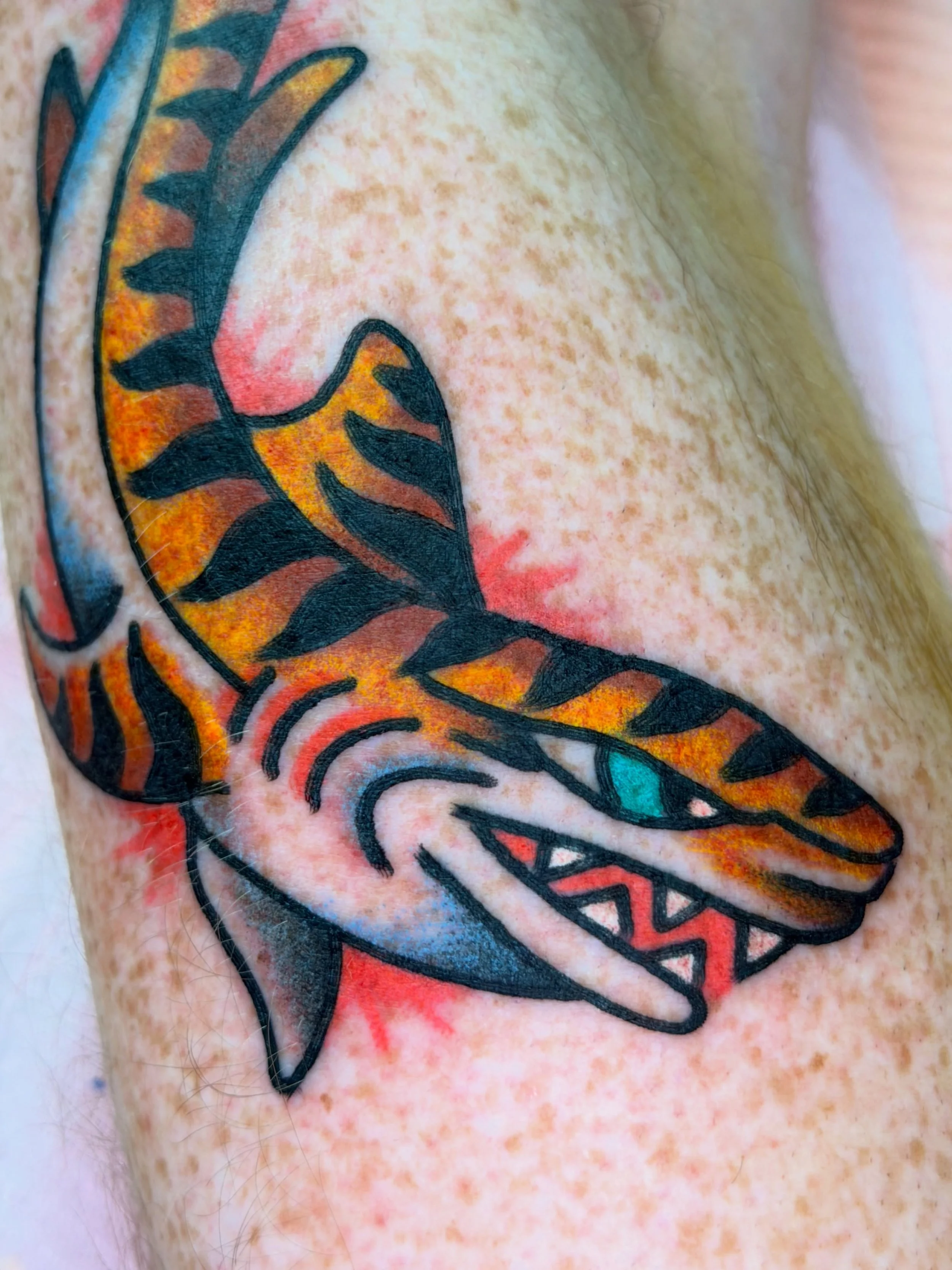 Tiger Shark for the homie Ryan ! Thanks my dude! 🙏❤️🙏