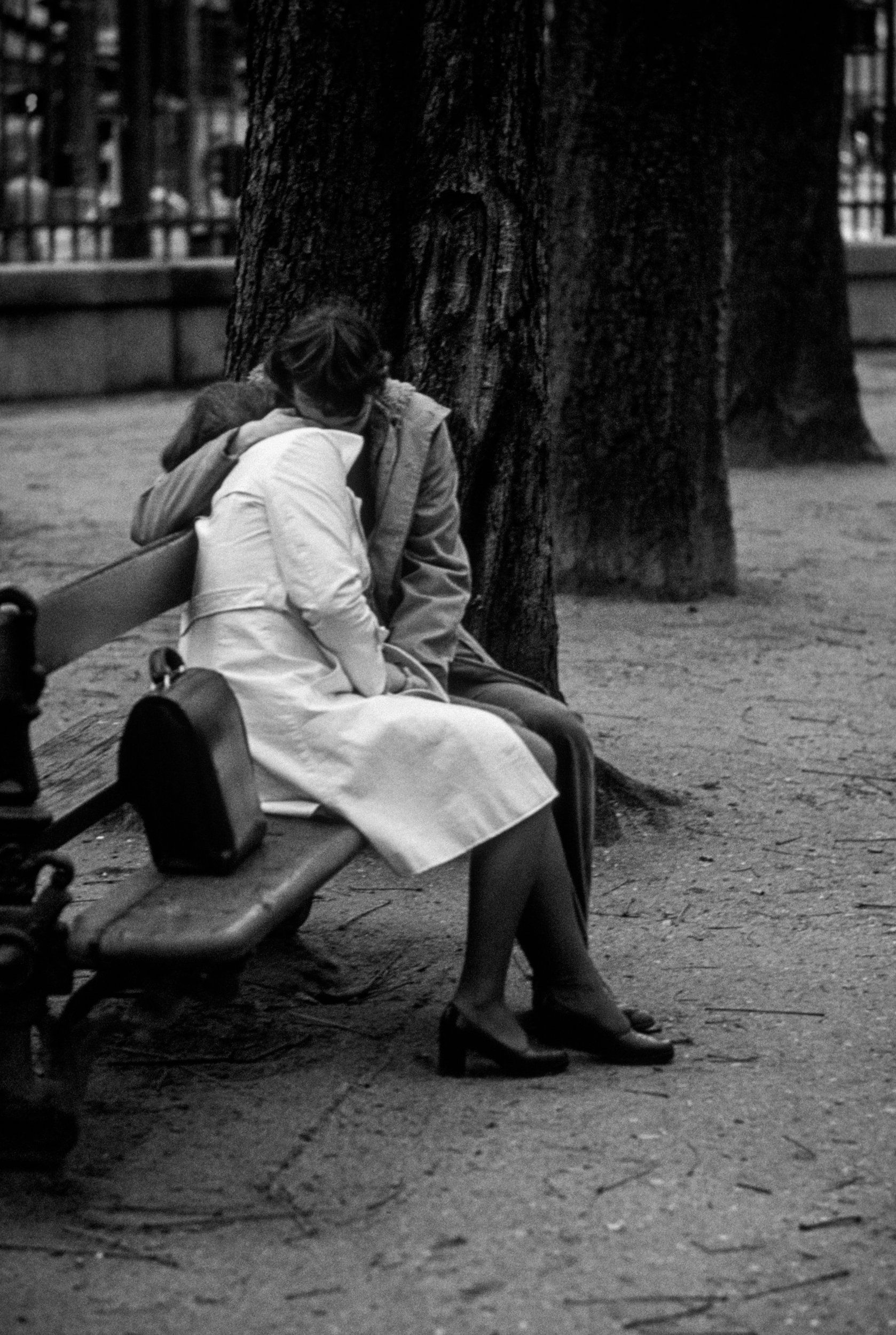 A women and a man sitting on a park bench sharing a kiss in front of a large tree.