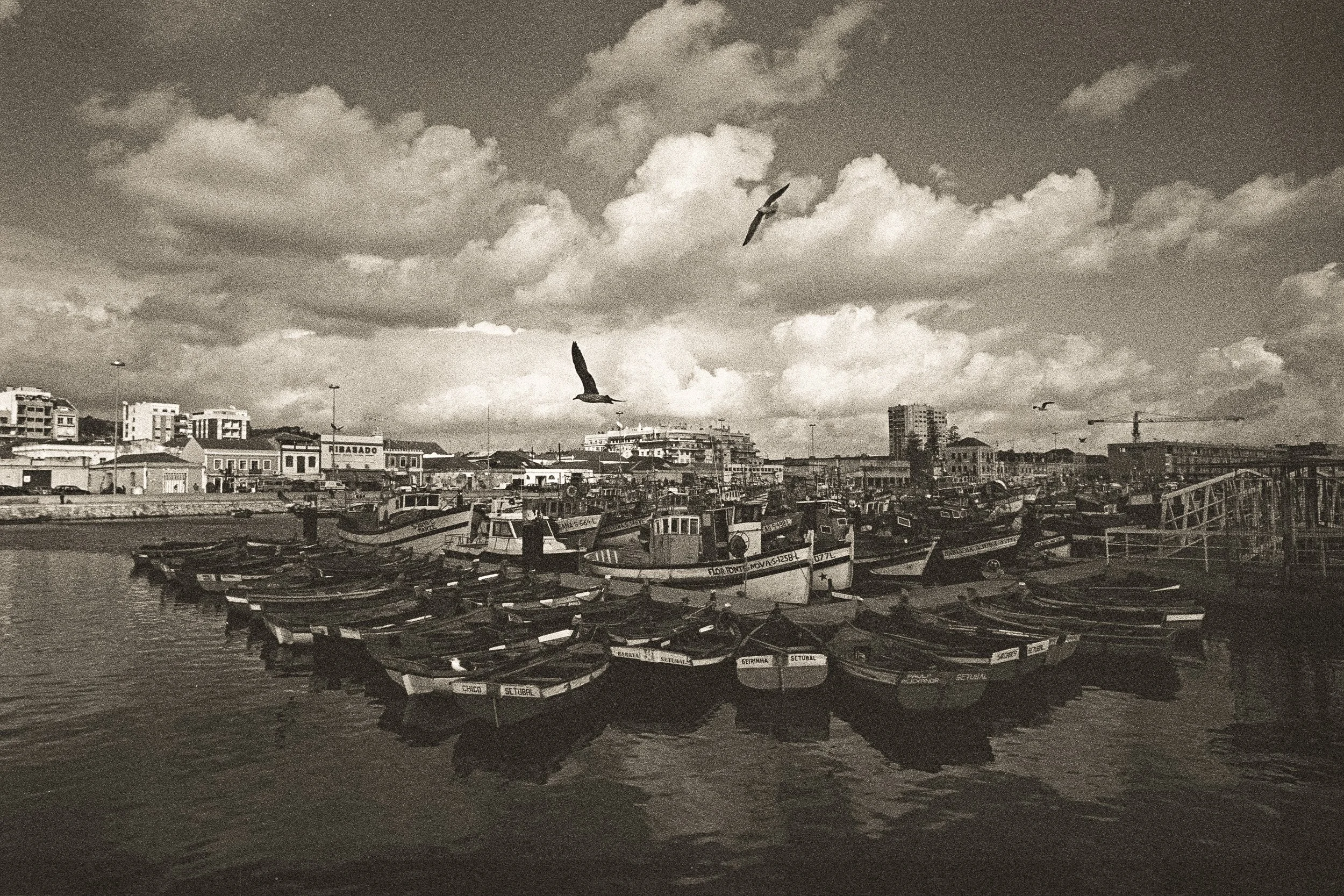 Fishing port of Setúbal (Portugal) 2006.